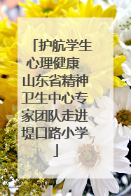 护航学生心理健康 山东省精神卫生中心专家团队走进堤口路小学