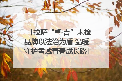 拉萨“卓·吉”未检品牌以法治为盾 温暖守护雪域青春成长路