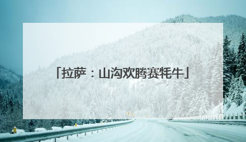 拉萨：山沟欢腾赛牦牛