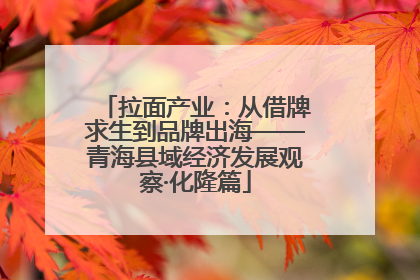 拉面产业：从借牌求生到品牌出海——青海县域经济发展观察·化隆篇