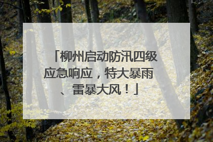 柳州启动防汛四级应急响应，特大暴雨、雷暴大风！