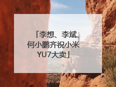 李想、李斌、何小鹏齐祝小米YU7大卖