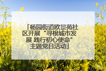 杨园街道欧景苑社区开展“寻根城市发展 践行初心使命”主题党日活动