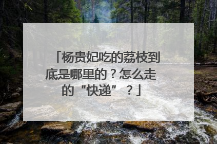 杨贵妃吃的荔枝到底是哪里的？怎么走的“快递”？