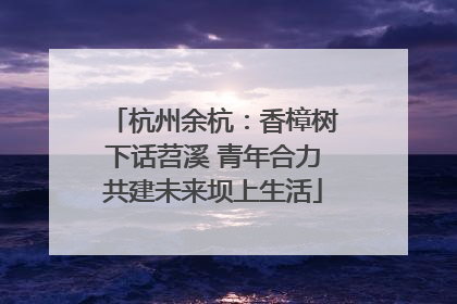 杭州余杭：香樟树下话苕溪 青年合力共建未来坝上生活