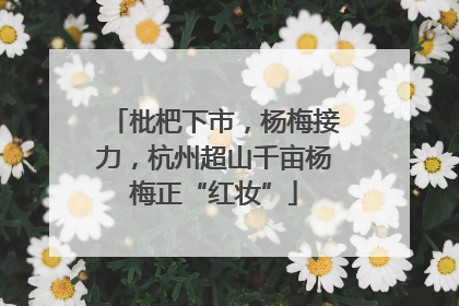 枇杷下市，杨梅接力，杭州超山千亩杨梅正“红妆”