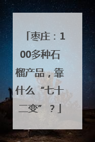 枣庄：100多种石榴产品，靠什么“七十二变”？
