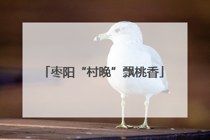 枣阳“村晚”飘桃香