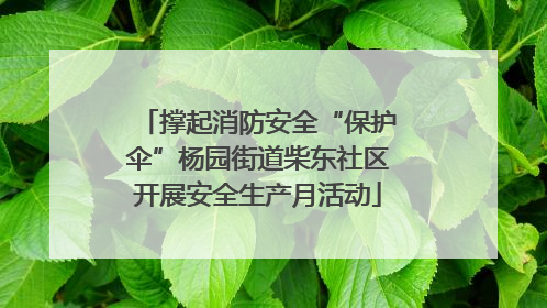撑起消防安全“保护伞”杨园街道柴东社区开展安全生产月活动