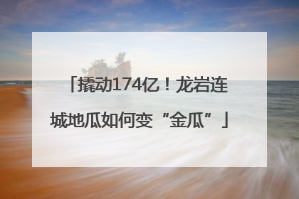 撬动174亿！龙岩连城地瓜如何变“金瓜”