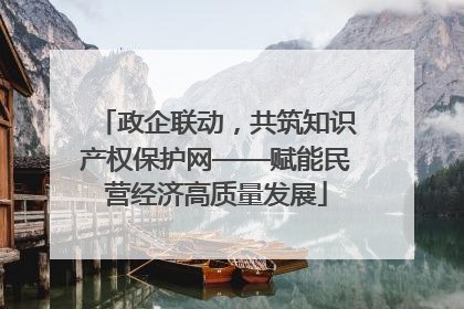 政企联动，共筑知识产权保护网——赋能民营经济高质量发展