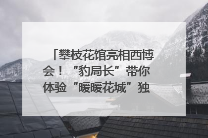 攀枝花馆亮相西博会！“豹局长”带你体验“暖暖花城”独特魅力｜西博视界