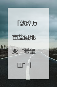 敦煌万亩盐碱地变“希望田”