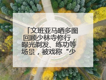 文班亚马晒多图回顾少林寺修行，曝光剃发、练功等场景，被戏称“少林第一高僧”