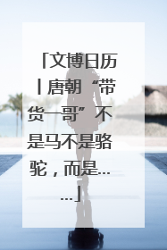 文博日历丨唐朝“带货一哥”不是马不是骆驼，而是……