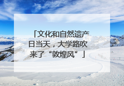 文化和自然遗产日当天，大学路吹来了“敦煌风”