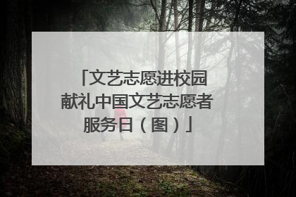 文艺志愿进校园 献礼中国文艺志愿者服务日（图）
