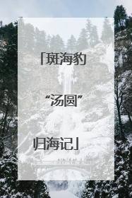 斑海豹“汤圆”归海记