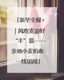 新华全媒+｜风吹麦浪好“丰”景——多地小麦机收一线见闻