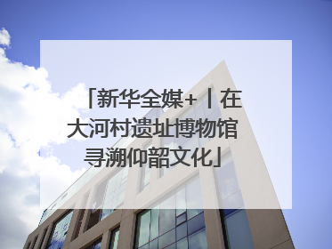 新华全媒+丨在大河村遗址博物馆寻溯仰韶文化