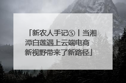 新农人手记⑤丨当湘潭白莲遇上云端电商 新视野带来了新路径