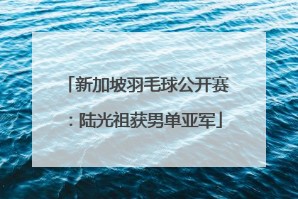 新加坡羽毛球公开赛：陆光祖获男单亚军
