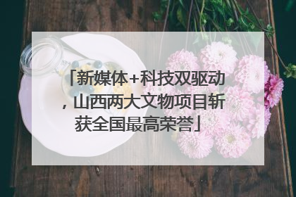新媒体+科技双驱动，山西两大文物项目斩获全国最高荣誉