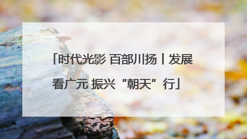 时代光影 百部川扬丨发展看广元 振兴“朝天”行