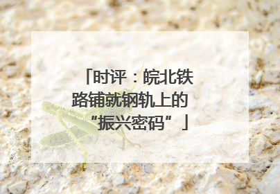 时评：皖北铁路铺就钢轨上的“振兴密码”