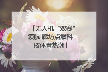 无人机“双赛”领航 廊坊点燃科技体育热潮