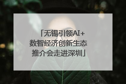 无锡引领AI+数智经济创新生态推介会走进深圳