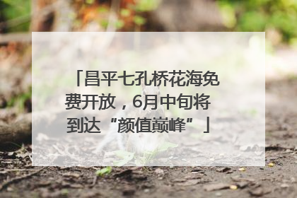 昌平七孔桥花海免费开放，6月中旬将到达“颜值巅峰”