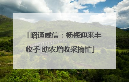 昭通威信：杨梅迎来丰收季 助农增收采摘忙