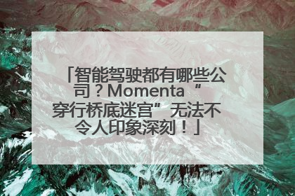 智能驾驶都有哪些公司？Momenta“穿行桥底迷宫”无法不令人印象深刻！