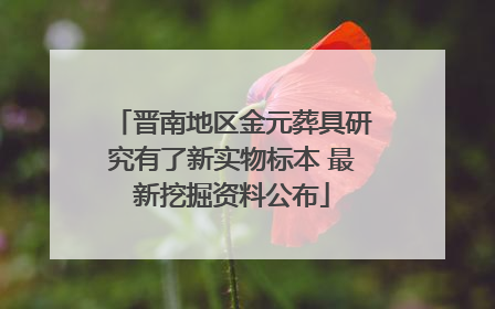 晋南地区金元葬具研究有了新实物标本 最新挖掘资料公布
