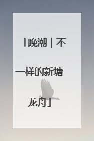晚潮｜不一样的新塘龙舟
