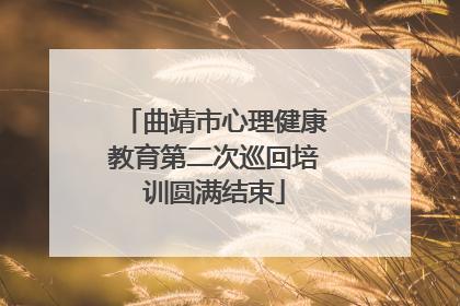 曲靖市心理健康教育第二次巡回培训圆满结束