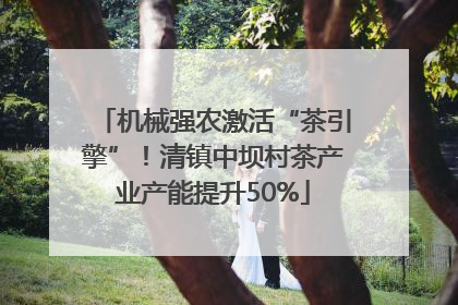 机械强农激活“茶引擎”！清镇中坝村茶产业产能提升50%