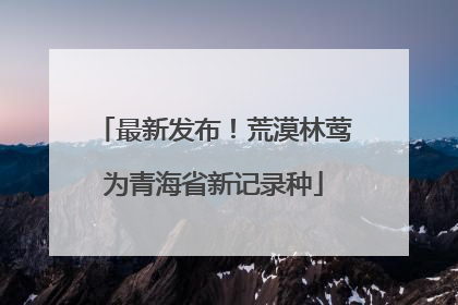 最新发布！荒漠林莺为青海省新记录种