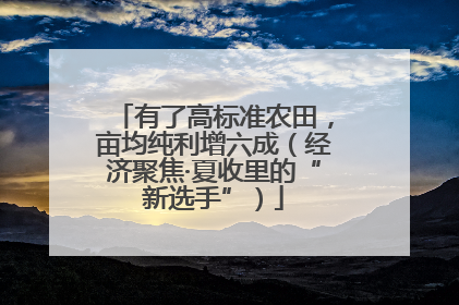 有了高标准农田，亩均纯利增六成（经济聚焦·夏收里的“新选手”）
