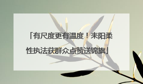 有尺度更有温度！耒阳柔性执法获群众点赞送锦旗
