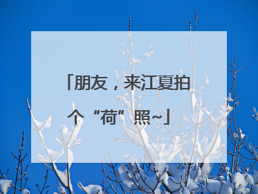朋友，来江夏拍个“荷”照~