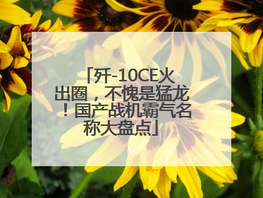 歼-10CE火出圈，不愧是猛龙！国产战机霸气名称大盘点