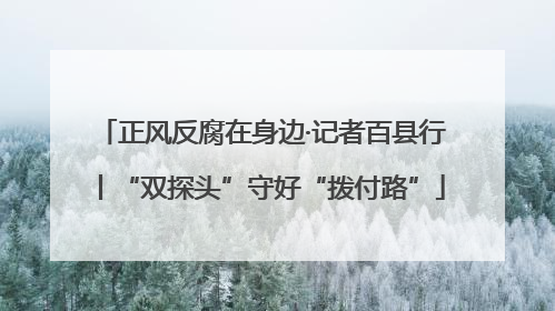 正风反腐在身边·记者百县行丨“双探头”守好“拨付路”