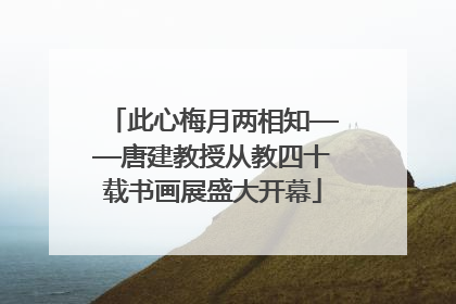 此心梅月两相知——唐建教授从教四十载书画展盛大开幕