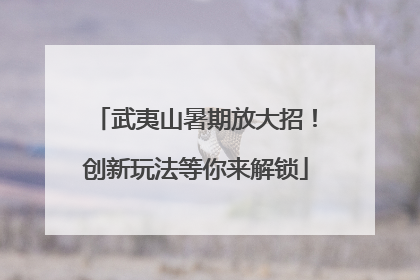 武夷山暑期放大招！创新玩法等你来解锁