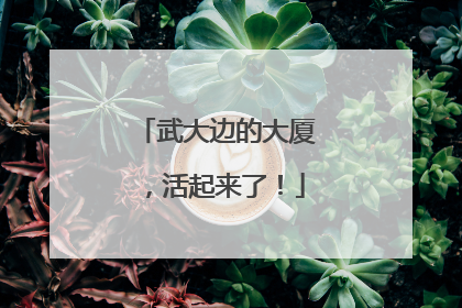 武大边的大厦，活起来了！