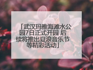 武汉玛雅海滩水公园7日正式开园 后续将推出夏浪音乐节等精彩活动