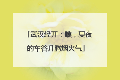 武汉经开：瞧，夏夜的车谷升腾烟火气