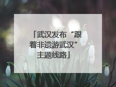 武汉发布“跟着非遗游武汉”主题线路